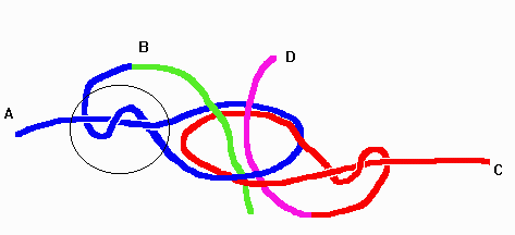 Tegisknuten/Tegisknot